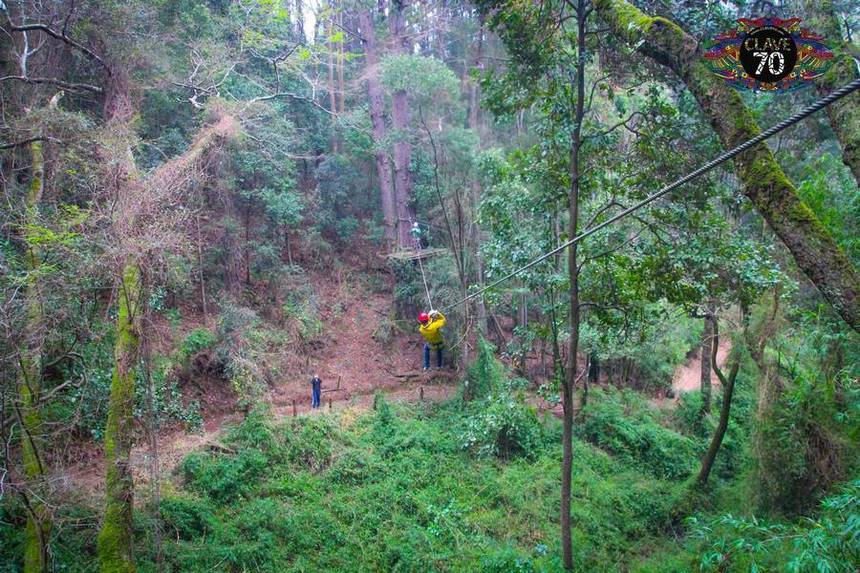 Fotografía 3 de Canopy en Concepción con Clave 70 en Concepcion, Bio Bio