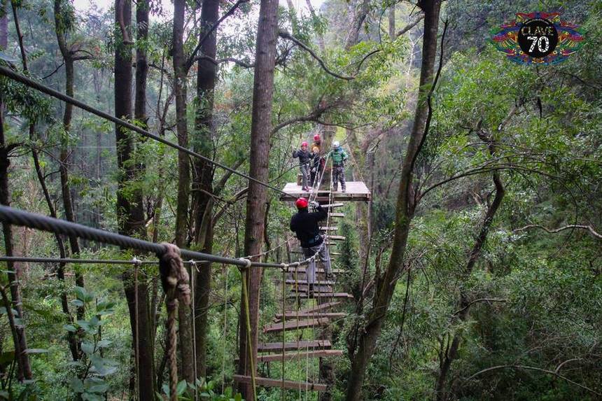 Fotografía 4 de Canopy en Concepción con Clave 70 en Concepcion, Bio Bio