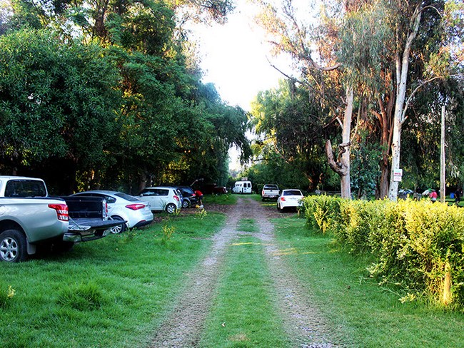 Fotografía 19 de Camping Balneario Vaitea en Panquehue, Valparaiso