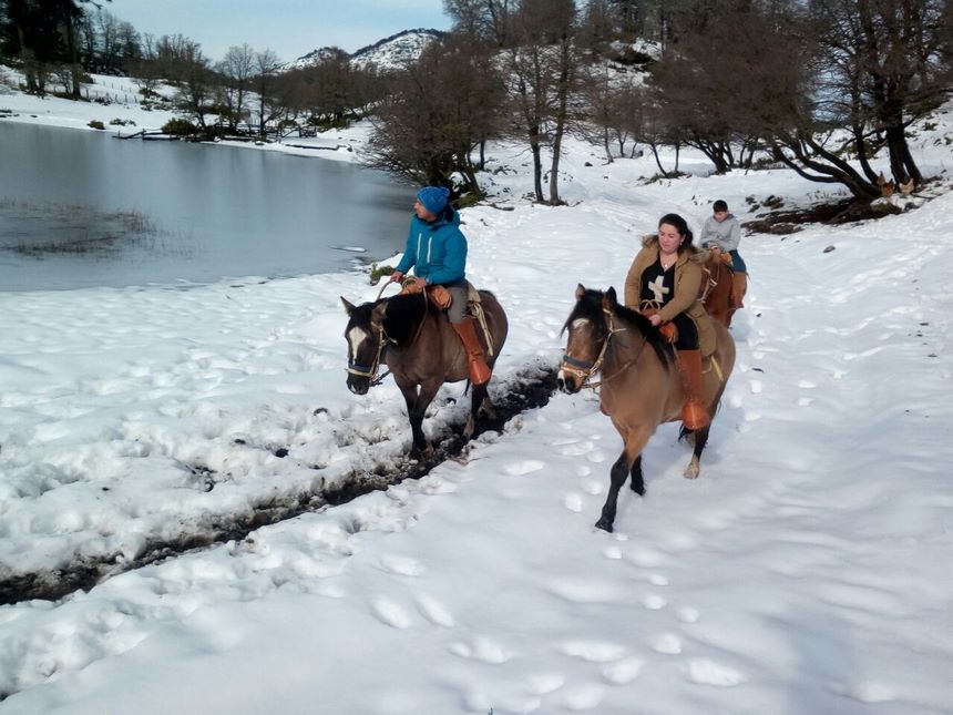 Fotografía 3 de Cabalgatas en Icalma en Lonquimay, Araucania