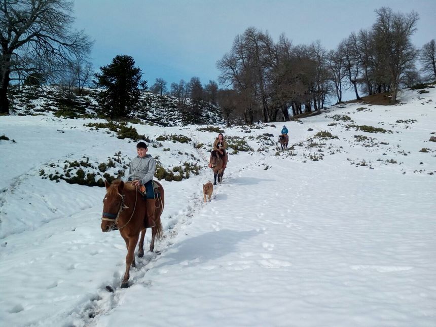 Fotografía 4 de Cabalgatas en Icalma en Lonquimay, Araucania