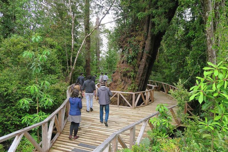 Fotografía 13 de Parque Tantauco en Quellon, Los Lagos