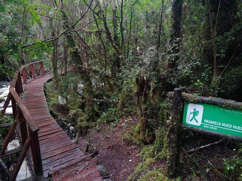 Fotografía 18 de Parque Tantauco en Quellon, Los Lagos