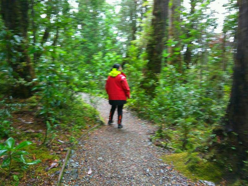 Fotografía 19 de Parque Tantauco en Quellon, Los Lagos
