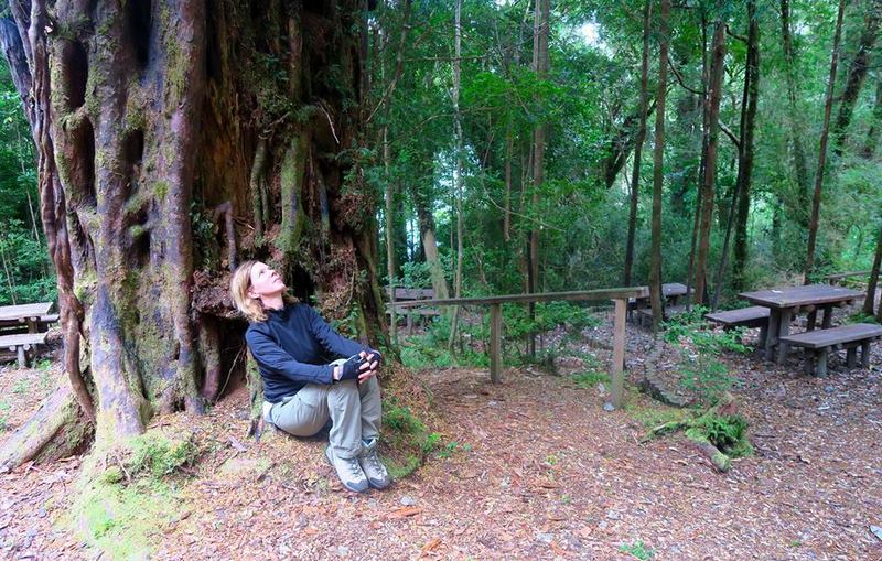 Fotografía 3 de Parque Tantauco en Quellon, Los Lagos