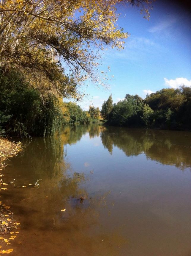 Fotografía 2 de Centro Silvestre el Sauce Camping en San Rafael, Maule