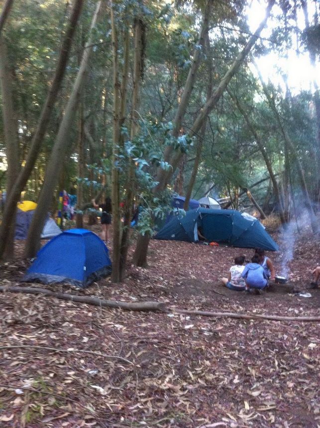 Fotografía 5 de Centro Silvestre el Sauce Camping en San Rafael, Maule