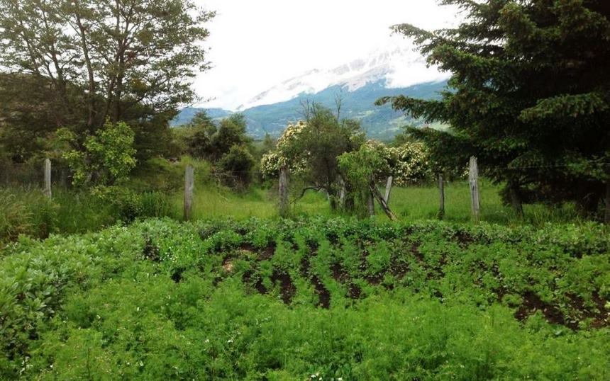 Fotografía 5 de Camping - Bed & breakfast en Coyhaique, Aysen