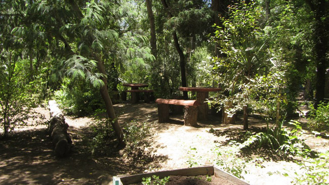 Fotografía 5 de Camping Parque del Río en SAN JOSE DE MAIPO, Metropolitana