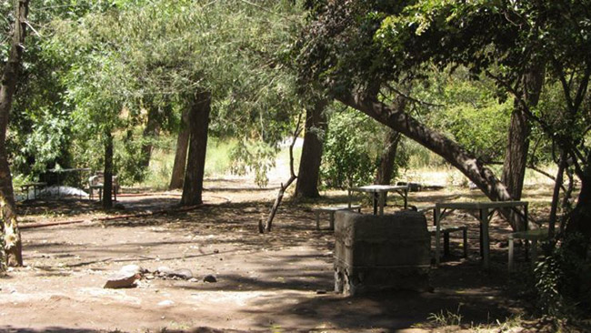 Fotografía 6 de Camping Parque del Río en SAN JOSE DE MAIPO, Metropolitana