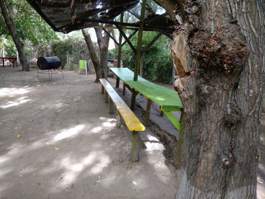 Fotografía 10 de Piscina y Camping Los Manantiales de Cumpeo en Rio Claro, Maule