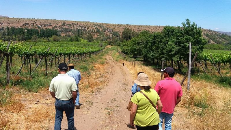 Fotografía 11 de Tour a Hacienda Arriba, Valle Cogoti en Combarbala, Coquimbo