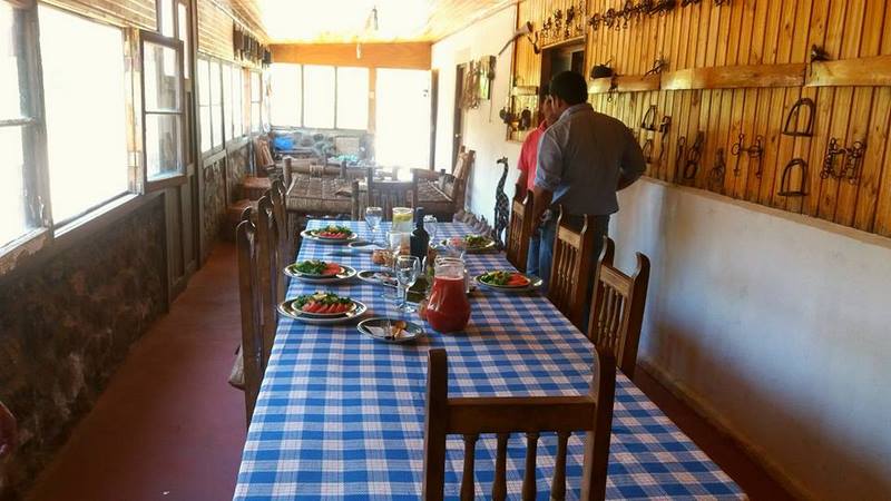 Fotografía 15 de Tour a Hacienda Arriba, Valle Cogoti en Combarbala, Coquimbo