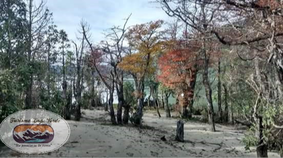 Fotografía 6 de Ven a conocer un paraíso en la tierra...  en Lago Verde, Aysen
