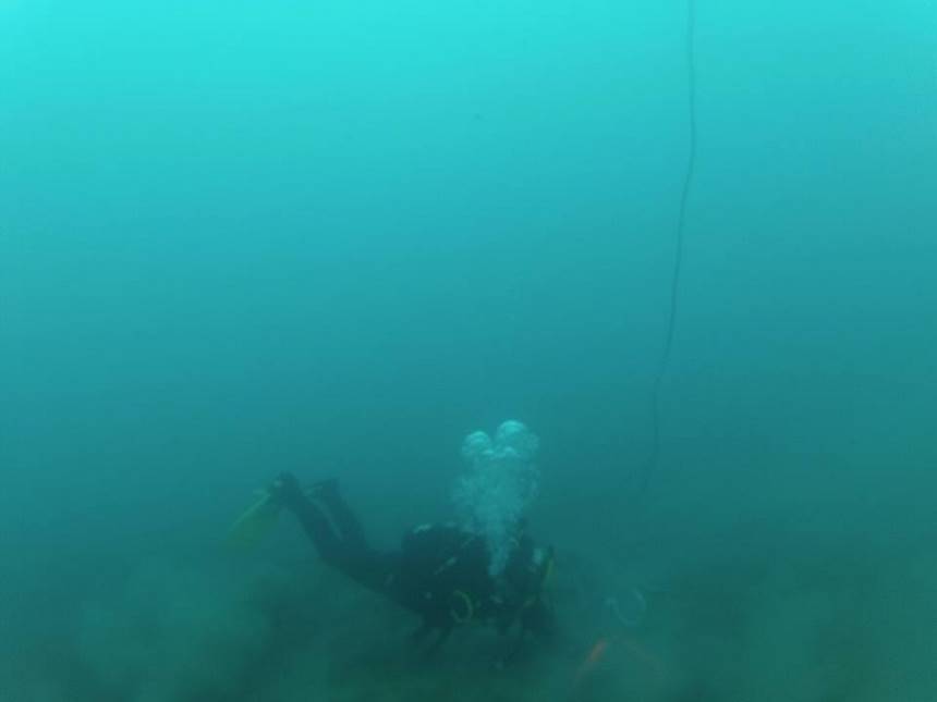 Fotografía 4 de Turismo submarino en Cochrane, Aysen