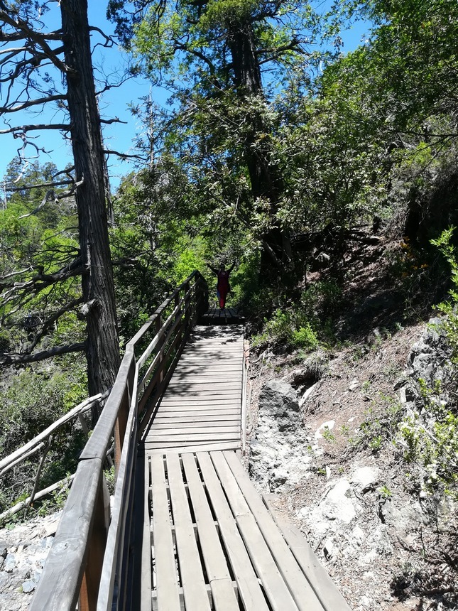 Fotografía 5 de Tour Panorímico Parque Radal 7 Tazas  en Santiago, Metropolitana