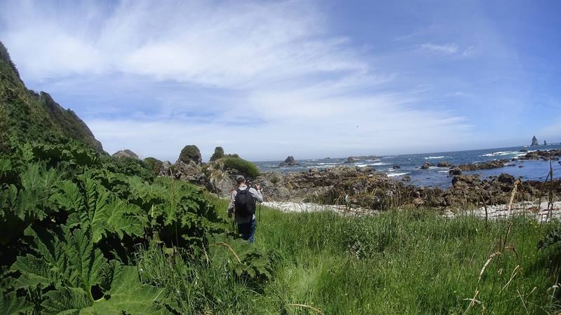 Fotografía 5 de Chiloe Austral Turismo & Aventura en Ancud, Los Lagos