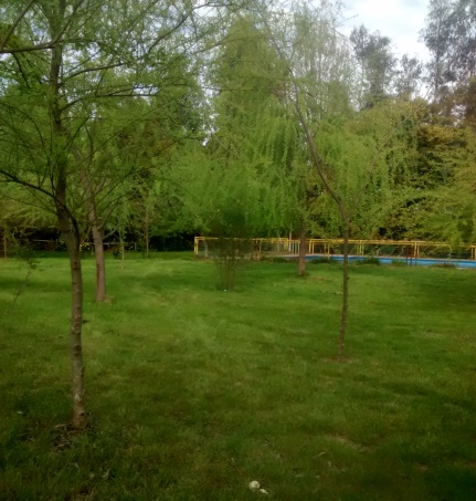 Fotografía 4 de Camping Raiguen Linares en Linares, Maule