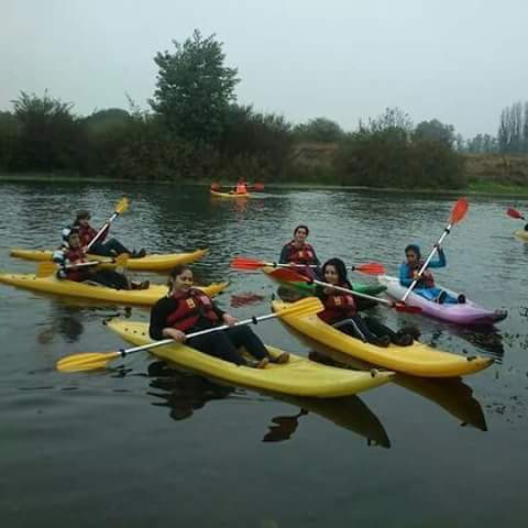 Fotografía 5 de Camping Raiguen Linares en Linares, Maule