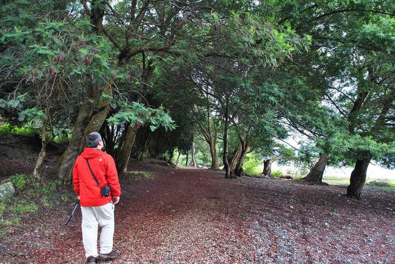Fotografía 11 de Turismo Rutas Verdes Lago Ranco en Lago Ranco, Los Rios