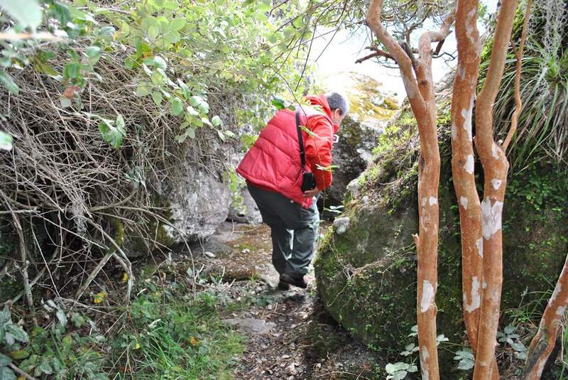 Fotografía 12 de Turismo Rutas Verdes Lago Ranco en Lago Ranco, Los Rios