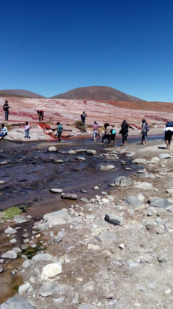 Fotografía 5 de Mígico Tour Laguna Roja en Iquique, Tarapaca