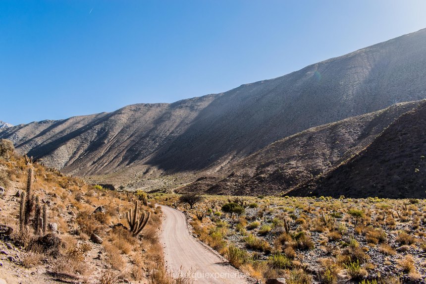 Fotografía 3 de Elqui Experience | Agencia Nº1 en el Valle del Elqui | Chile en Vicuña, Coquimbo