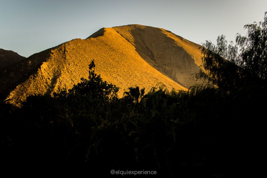 Fotografía 4 de Elqui Experience | Agencia Nº1 en el Valle del Elqui | Chile en Vicuña, Coquimbo