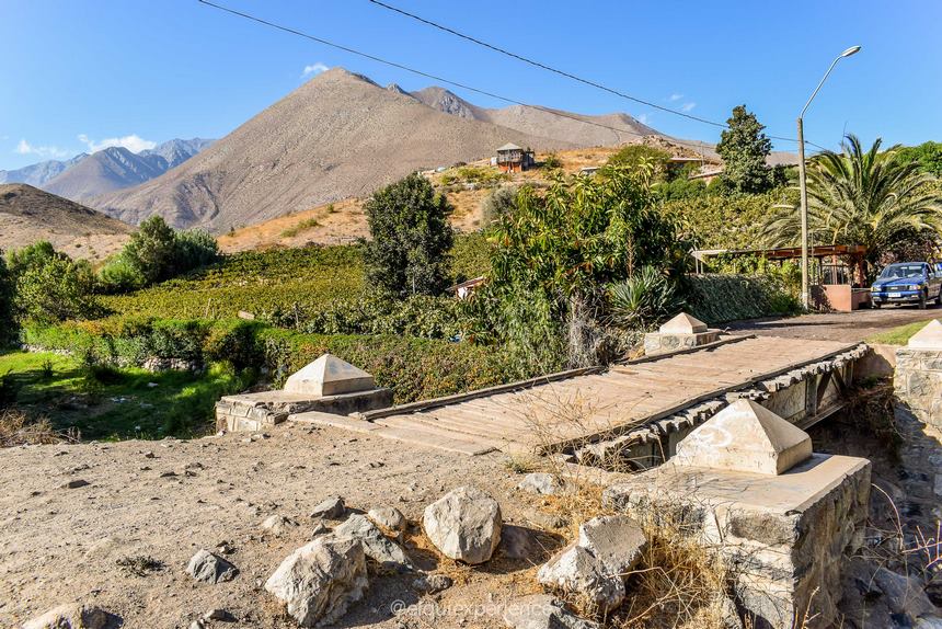 Fotografía 11 de Elqui Experience | Agencia Nº1 en el Valle del Elqui | Chile en Vicuña, Coquimbo