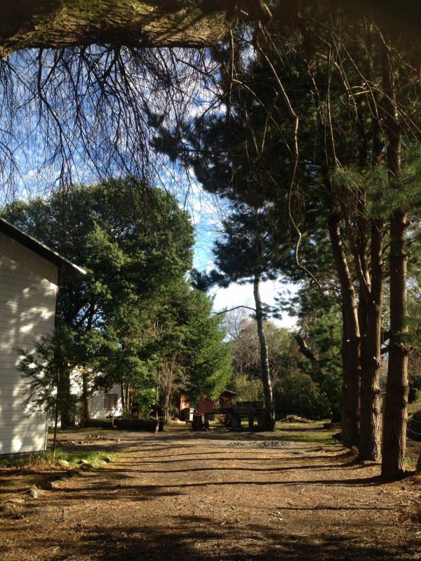 Fotografía 2 de Cabañas nuevas a 100 metros del Lago - Lican Ray en Villarrica, Araucania