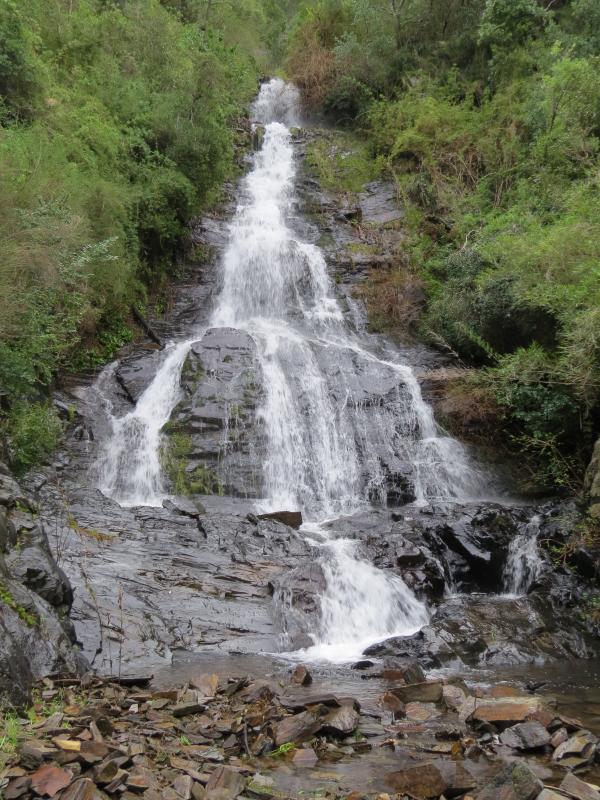 Fotografía 2 de La mejor aventura en el Maule Sur en Pelluhue, Maule