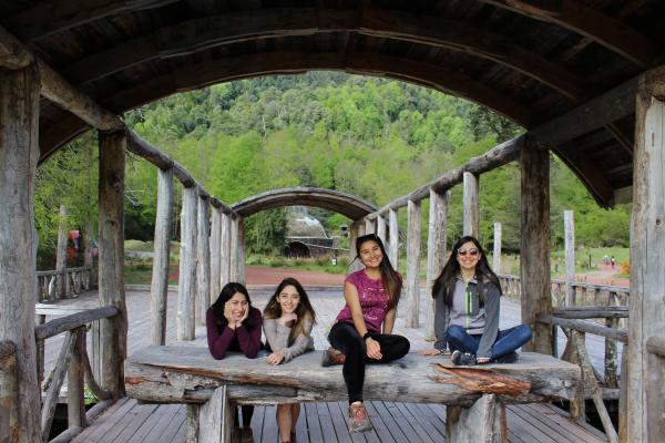 Fotografía 9 de Huilo Huilo en Villarrica, Araucania