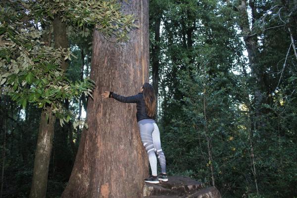 Fotografía 10 de Huilo Huilo en Villarrica, Araucania