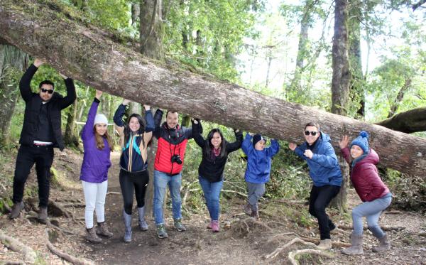 Fotografía 14 de Huilo Huilo en Villarrica, Araucania