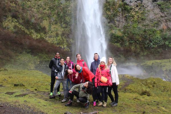 Fotografía 3 de Termas Geomítricas en Villarrica, Araucania