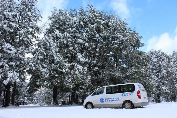 Fotografía 8 de Termas Geomítricas en Villarrica, Araucania