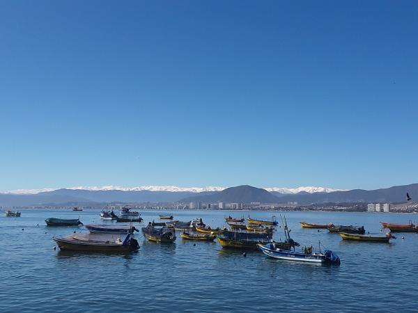 Fotografía 15 de Taxi Ejecutivo en La Serena, Coquimbo