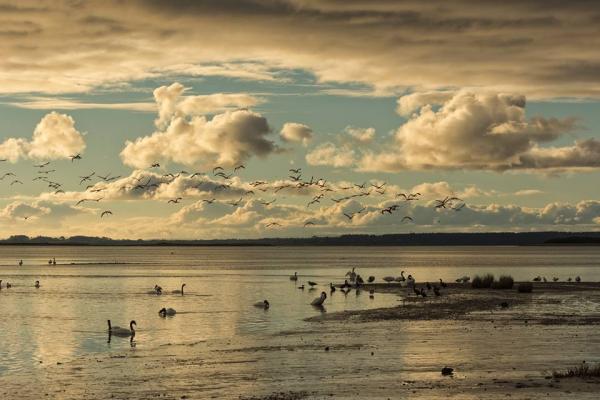 Fotografía 12 de www.sailpatagonia.com en Ancud, Los Lagos