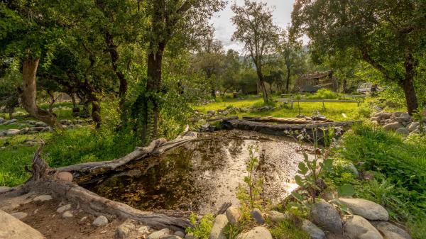 Fotografía 16 de Cabañas Achibueno en Linares, Maule