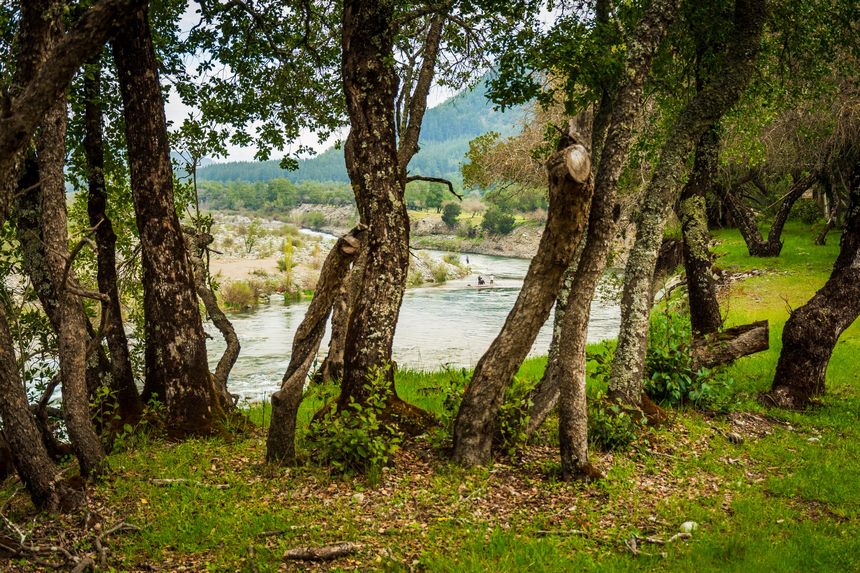 Fotografía 17 de Cabañas Achibueno en Linares, Maule
