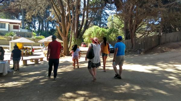 Fotografía 3 de TOUR GRUPOS //COLEGIOS// LITORAL SUR ISLA NEGRA // ALGARROBO// SAN ALFONSO DEL M en Algarrobo, Valparaiso