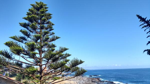 Fotografía 8 de TOUR GRUPOS //COLEGIOS// LITORAL SUR ISLA NEGRA // ALGARROBO// SAN ALFONSO DEL M en Algarrobo, Valparaiso