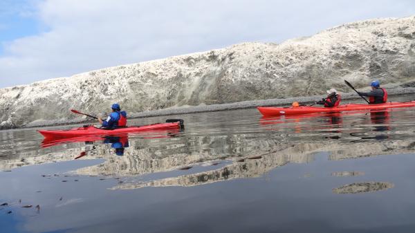 Fotografía 3 de TRAVESIA EN KAYAK Isla Santa María en Antofagasta, Antofagasta