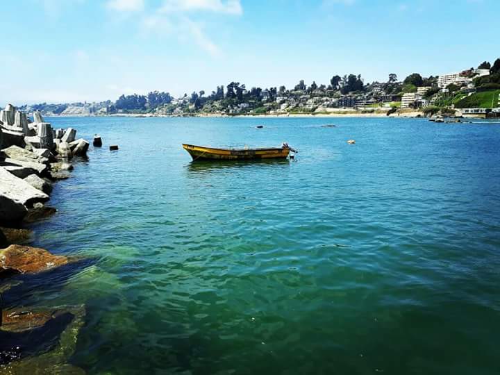 Fotografía 3 de Pesca en la bahía de Concón en Concon, Valparaiso