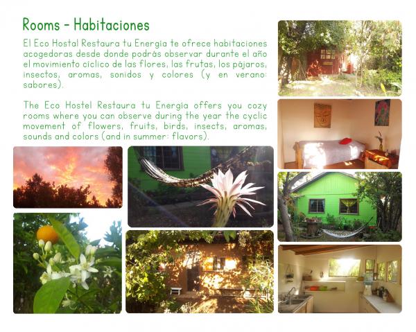 Fotografía 2 de Restaura tu Energía - Hostal Ecológico en Limache en Limache, Valparaiso