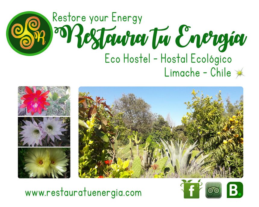Fotografía 4 de Restaura tu Energía - Hostal Ecológico en Limache en Limache, Valparaiso