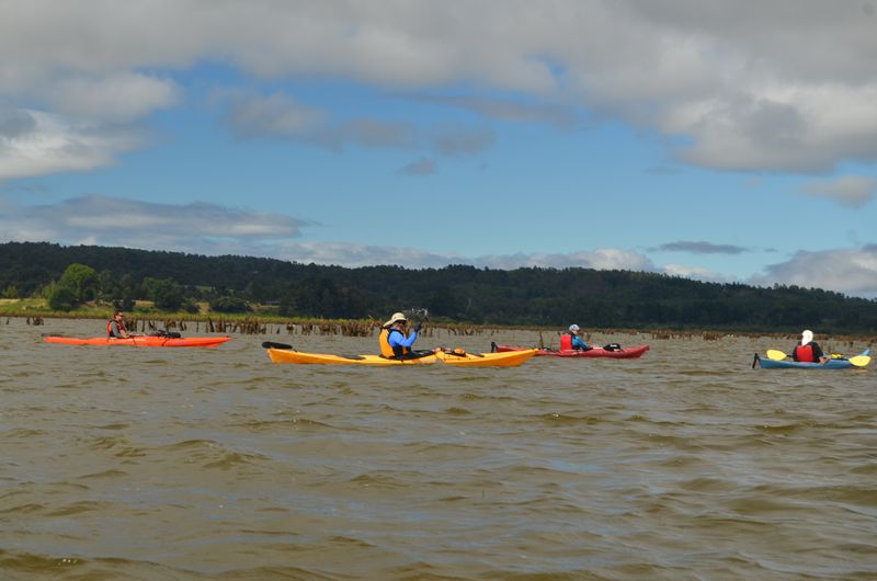 Fotografía 4 de Cursos y Expediciones en kayak en Valdivia, Los Rios