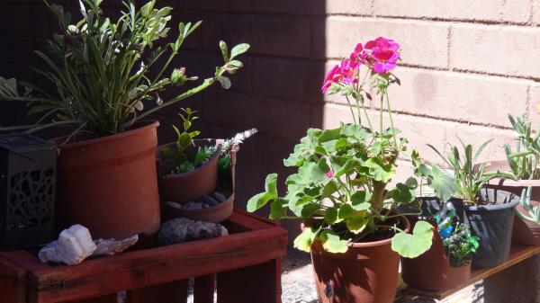 Fotografía 6 de Hostal sempuray en San Pedro De Atacama, Antofagasta