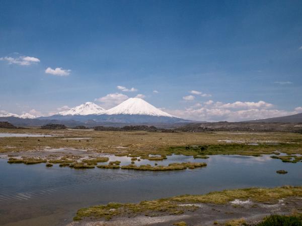 Fotografía 8 de Tour en el Parque Nacional Lauca dos días. en Arica, Arica Y Parinacota