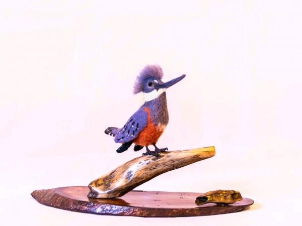 Fotografía 11 de Aves chilenas en fieltro en Calle Larga, Valparaiso
